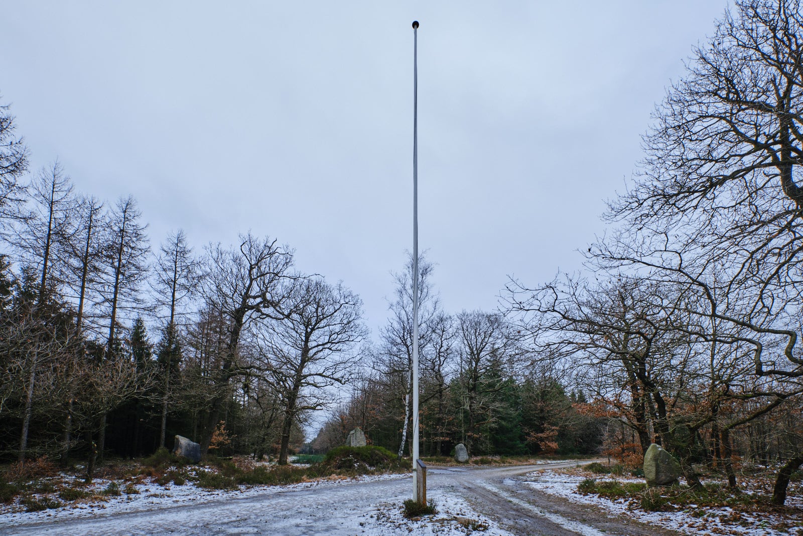 20210114 Stilde Plantage-62