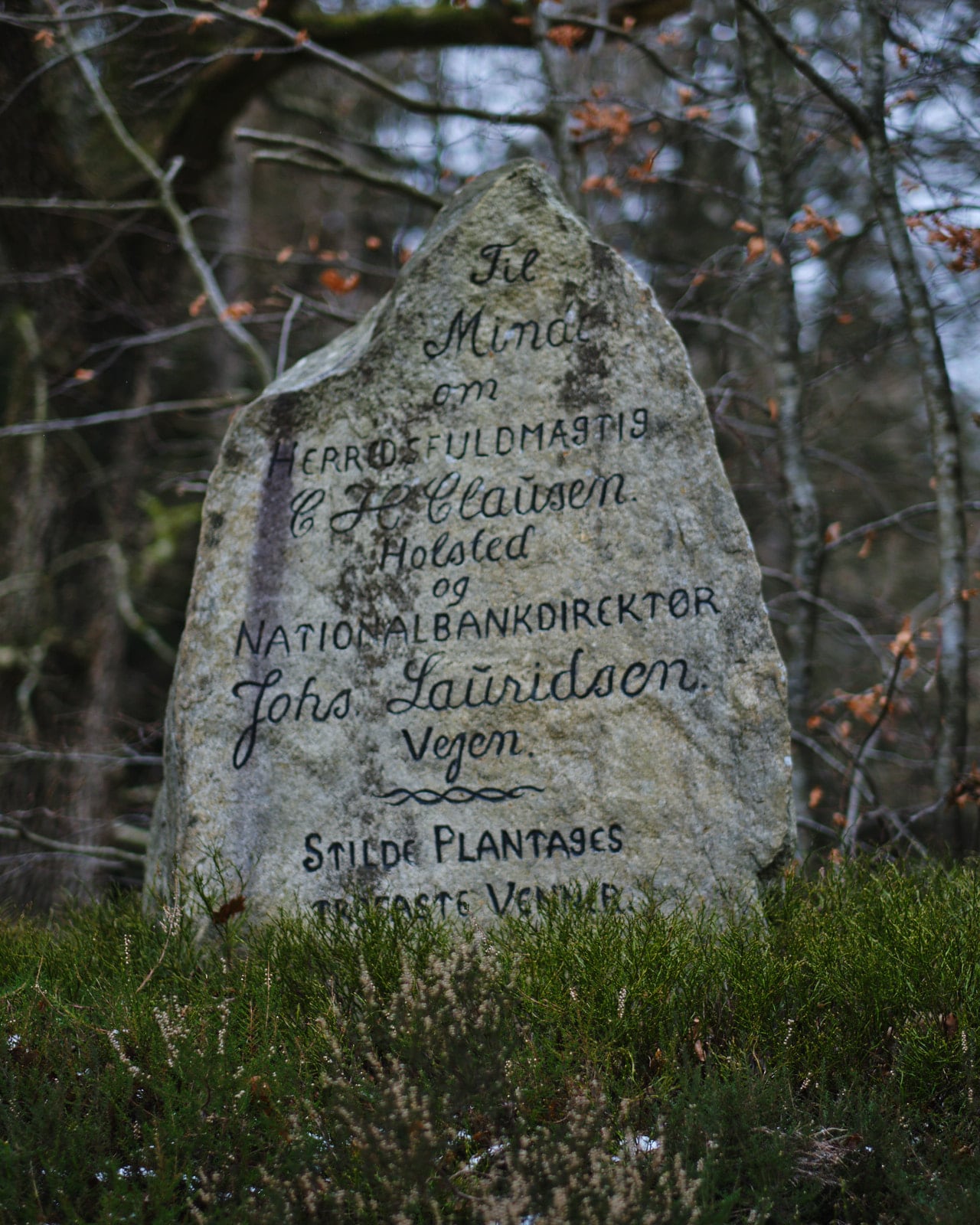 20210114 Stilde Plantage-63